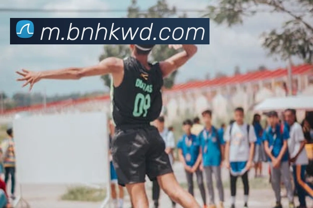 问鼎娱乐平台生态图